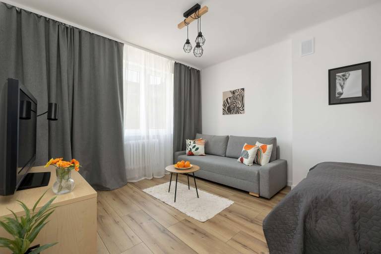 Studio with fast internet in Gdansk