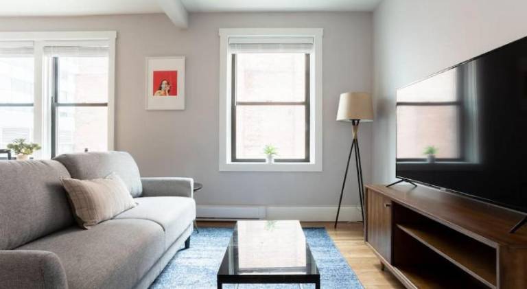 Simple 1BR steps to Boston Common and South End — photo 2