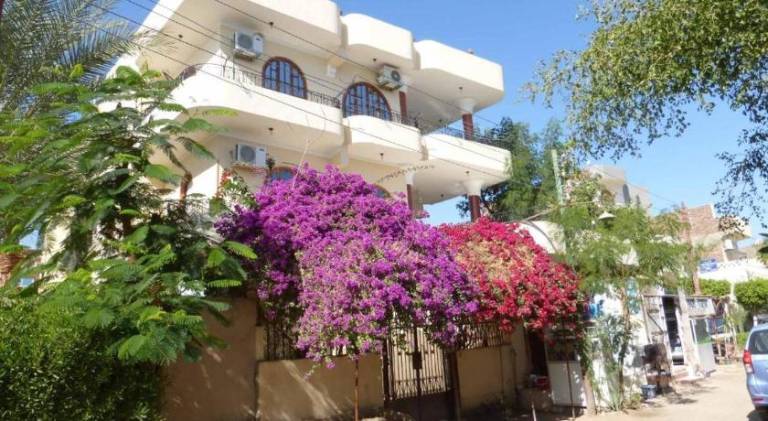Pleasant apartment with terrace & yard | Near Luxor Temple | Pets are welcome — photo 5