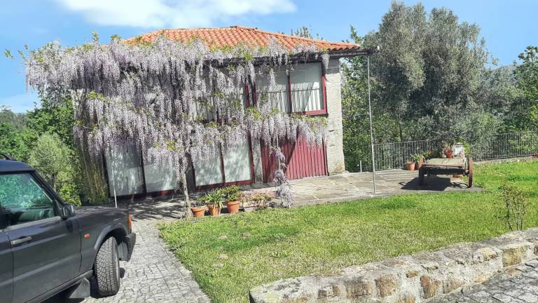 foto33