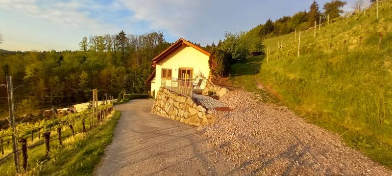 foto25