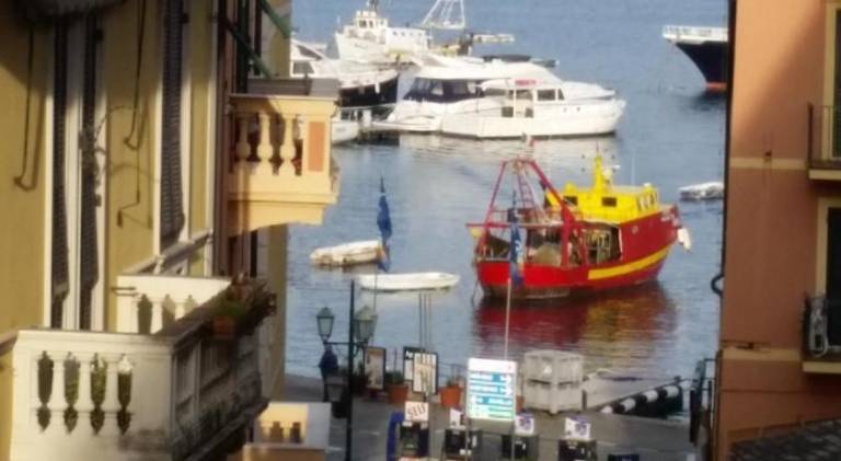Beautiful holiday apartment | Next to the beach | Pets allowed in Camogli