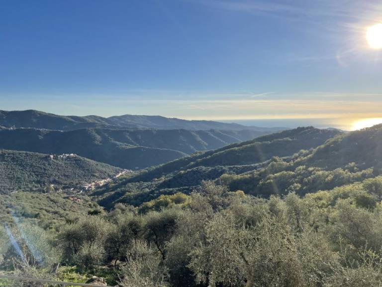 foto16