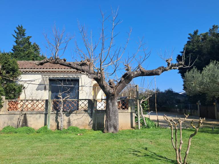 Maison de vacances Saint-Martin-d'Ardèche
