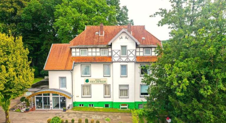 Haus am Walde — photo 4