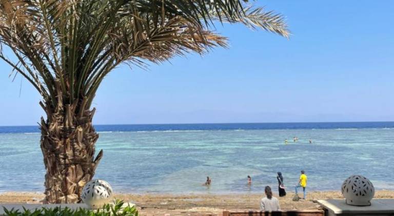 Holiday apartment | Close to the beach | Pets allowed in Dahab