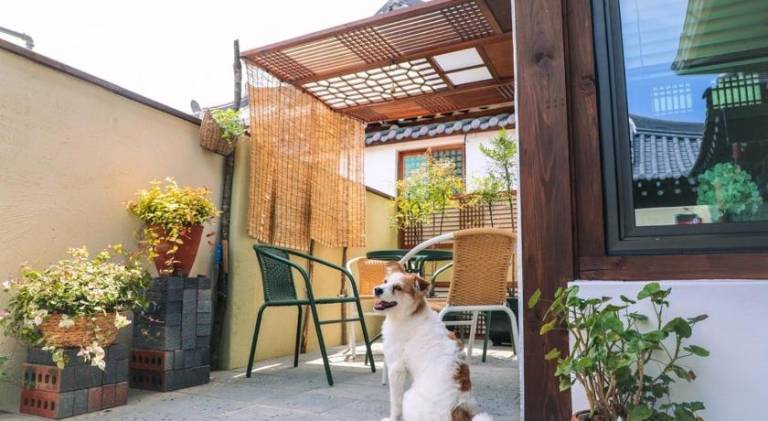 Happiness on Jacuzzi Private Pension — photo 4