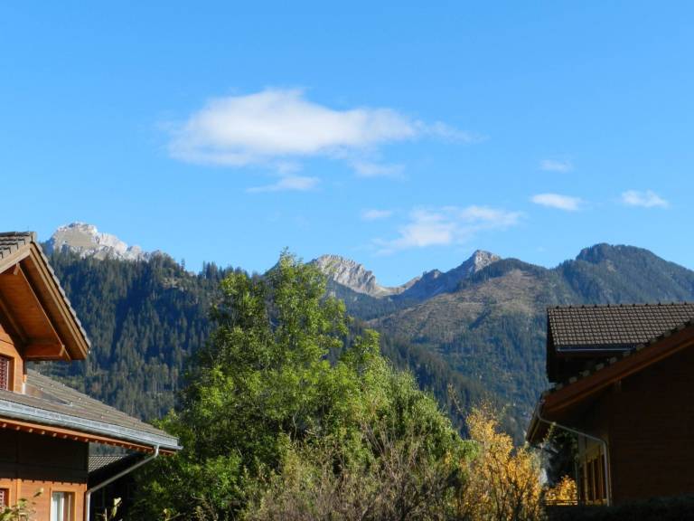foto9