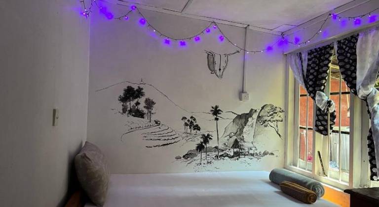 HOME HOSTEL ELLA — photo 2