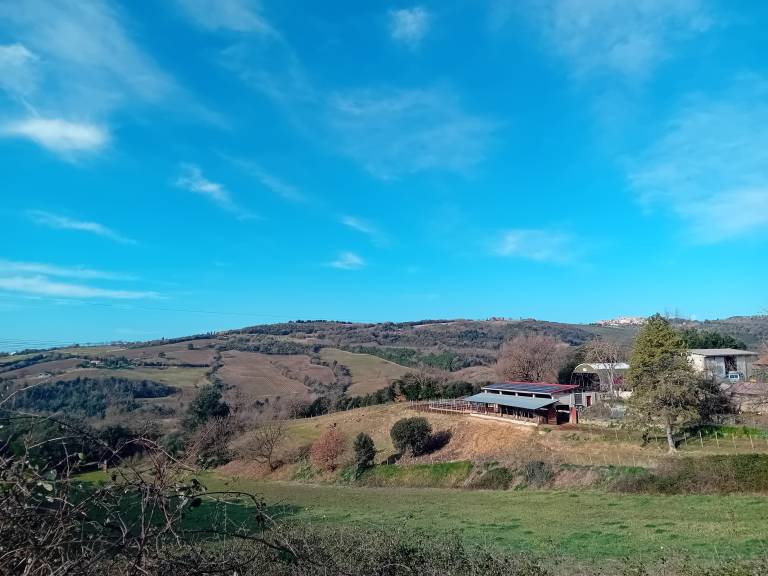 Camera privata Murlo