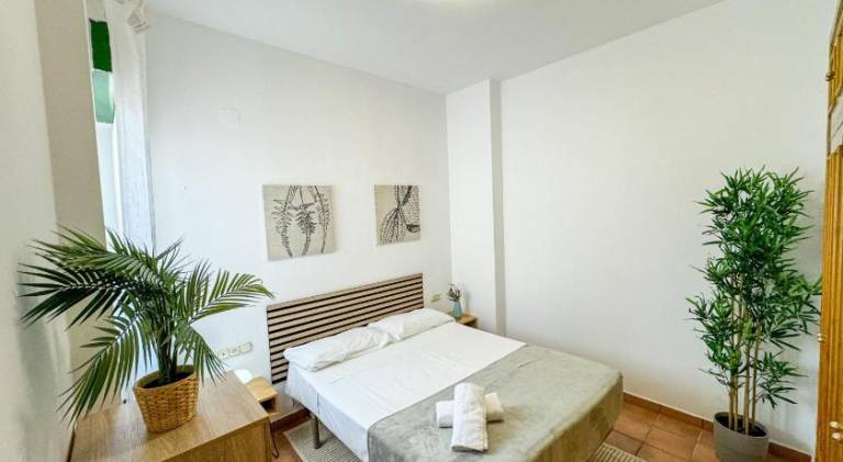 Holiday apartment | Dogs allowed — photo 4