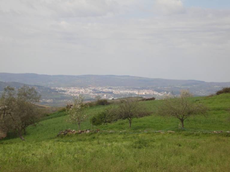 foto15