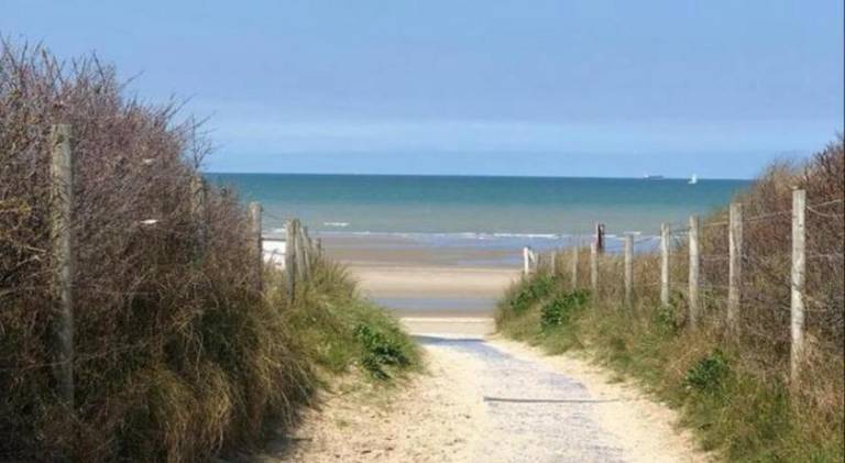 Pleasant holiday apartment | Pets are welcome in De Panne