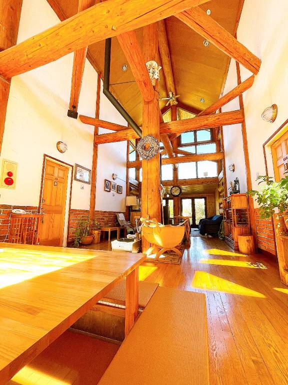 Hakuba Log Hotel Meteor — photo 4