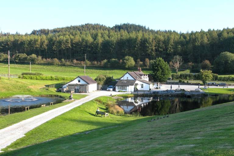 Cottage  Brynteg