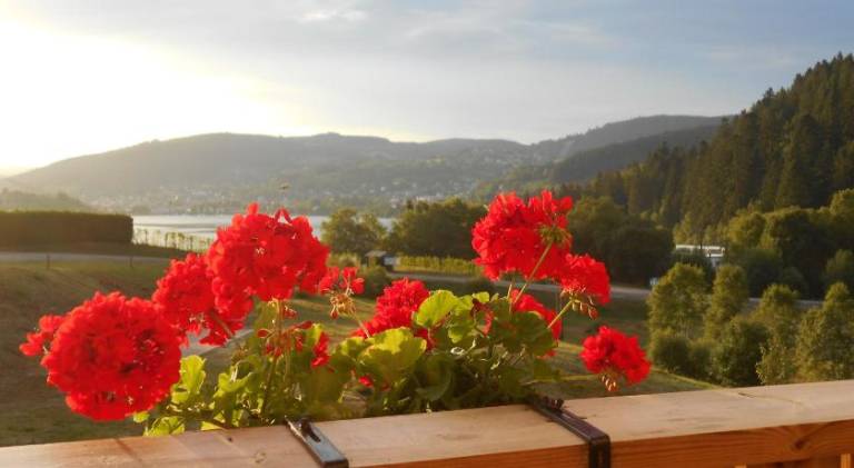 Rental apartment with 1 room for 4 persons in Gérardmer