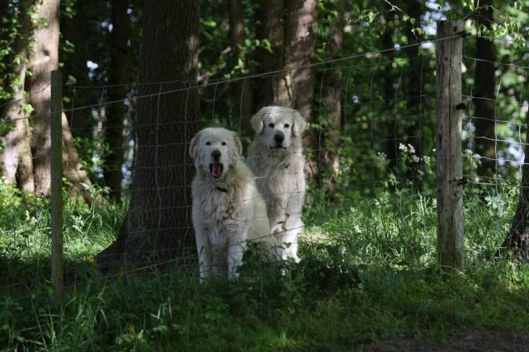 foto12