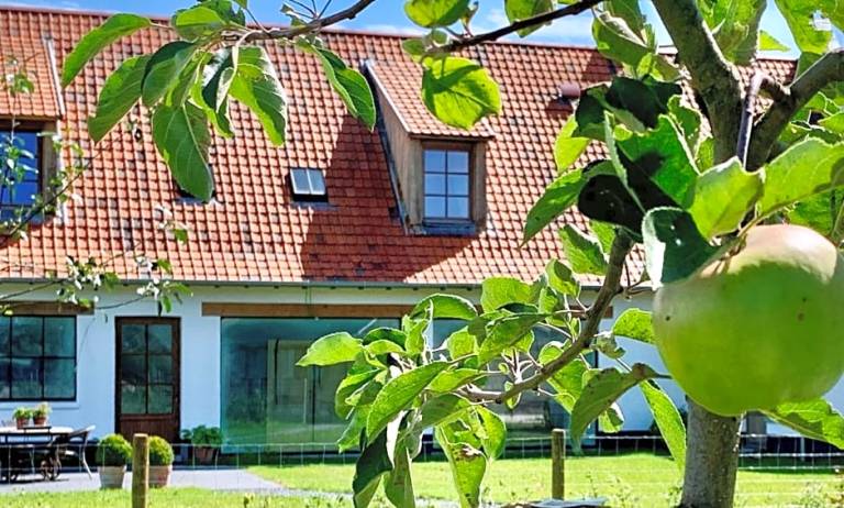 Bed and breakfast  Diest