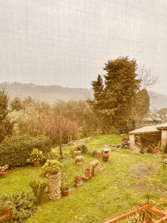 foto11