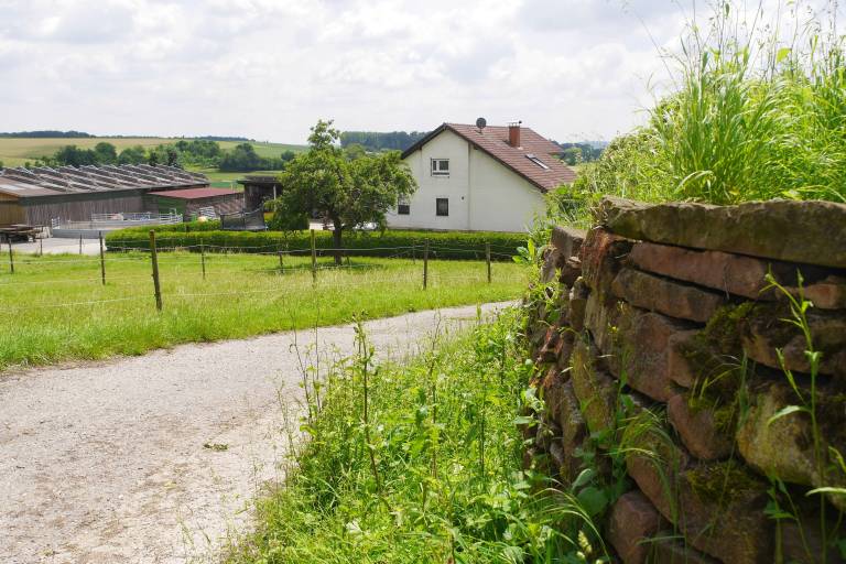 Ferienwohnung Sinsheim