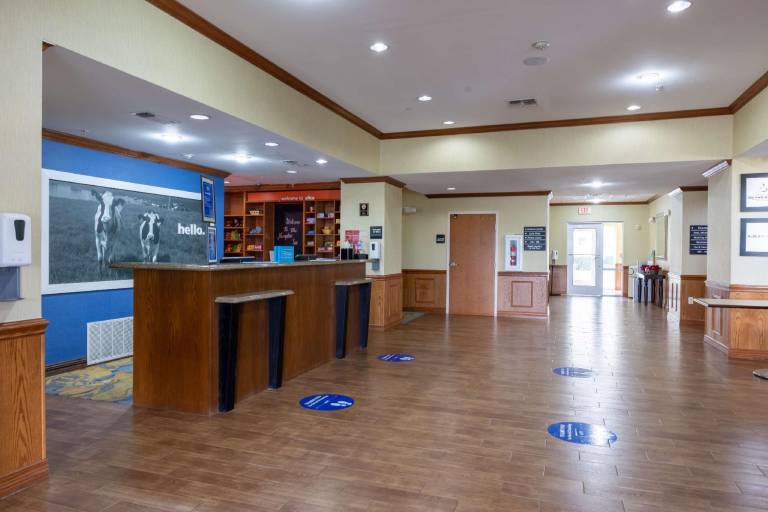 Hampton Inn Alice — photo 4