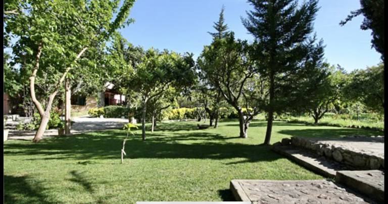 foto7