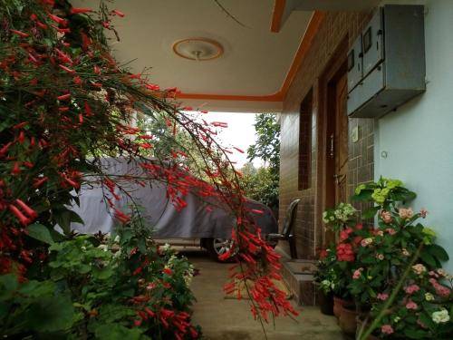 foto9
