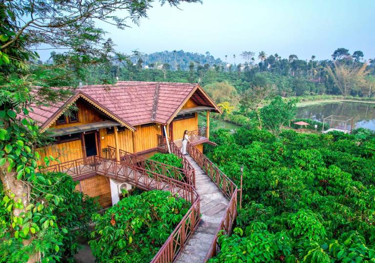 Resort  Wayanad