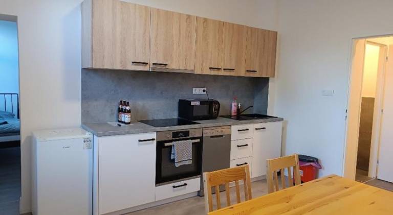 Rental apartment | Pet-friendly in Plzen