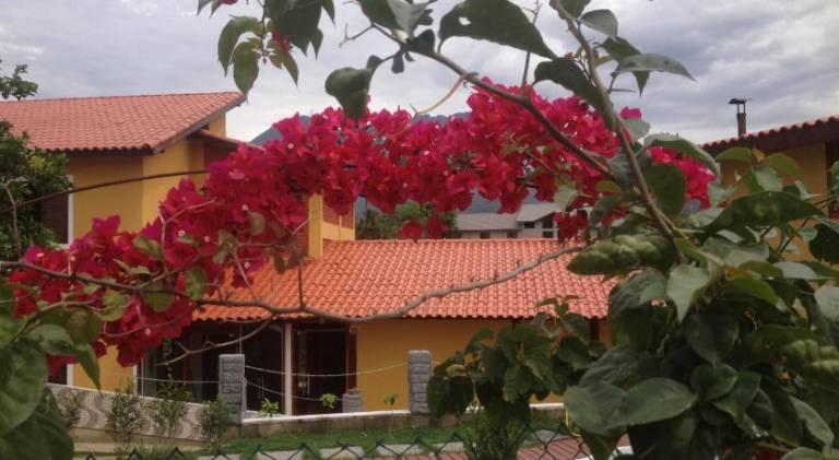 foto41