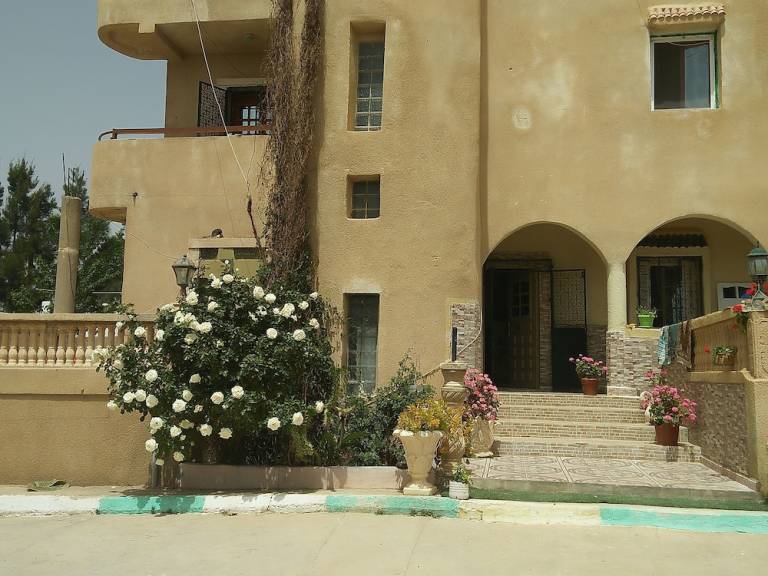 Logement  M'Daourouch