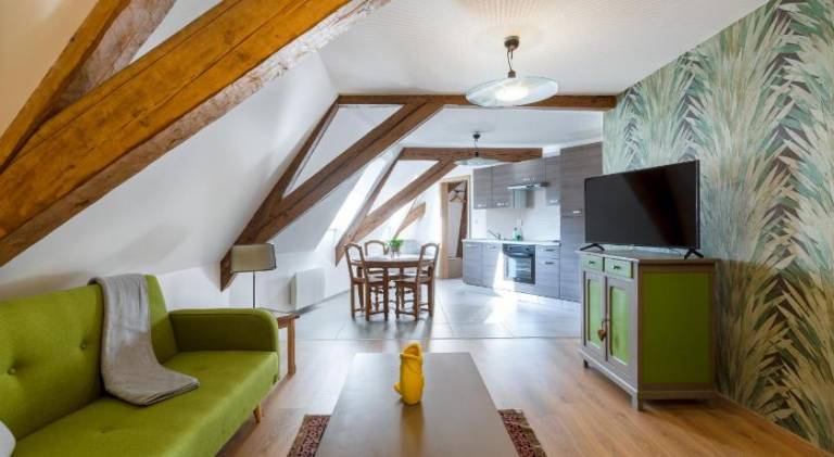 Beautiful apartment | Pet-friendly in Sélestat
