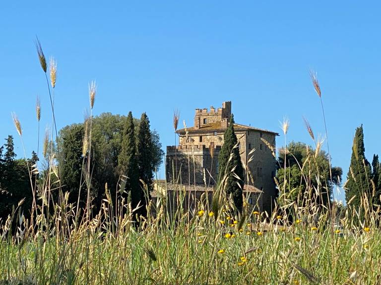 Fully equipped charming villa with fast internet & garden | Garden view | Perfect for remote work | Pets allowed in Cinigiano