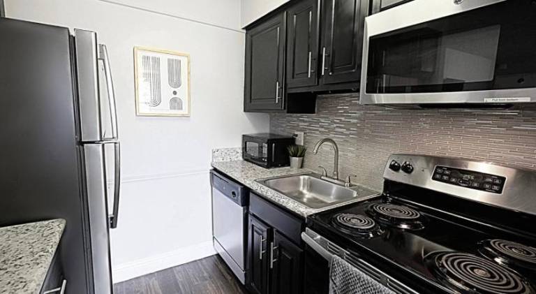 Fully equipped nice rental apartment | Dogs allowed — photo 3