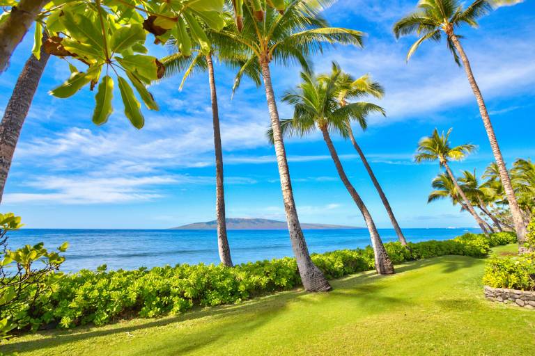 House Lahaina