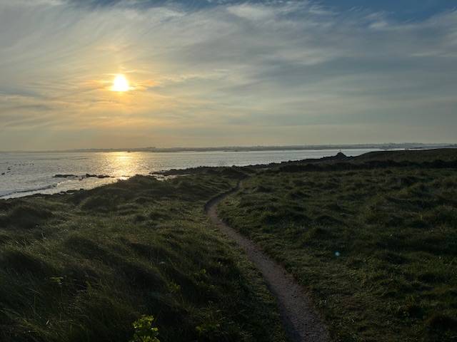 foto40