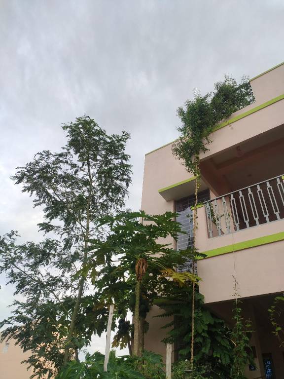 Vacation home with yard — photo 3