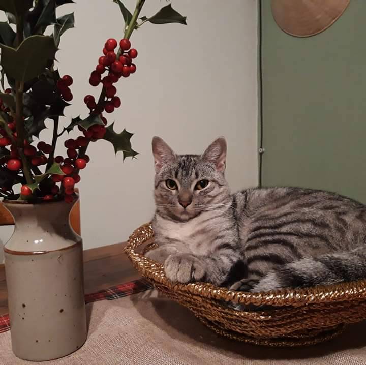 foto34