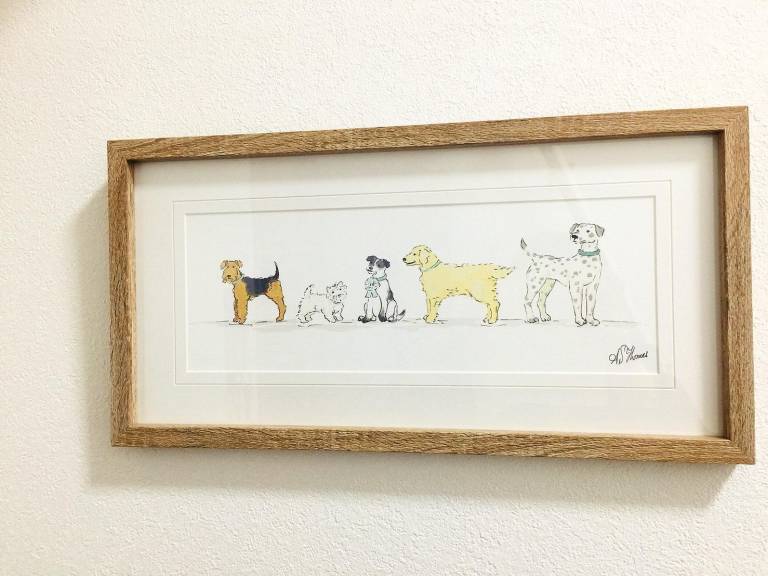 foto12