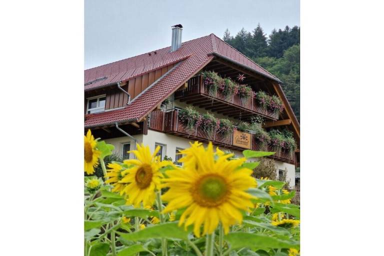 Farm with grill & yard in Oppenau