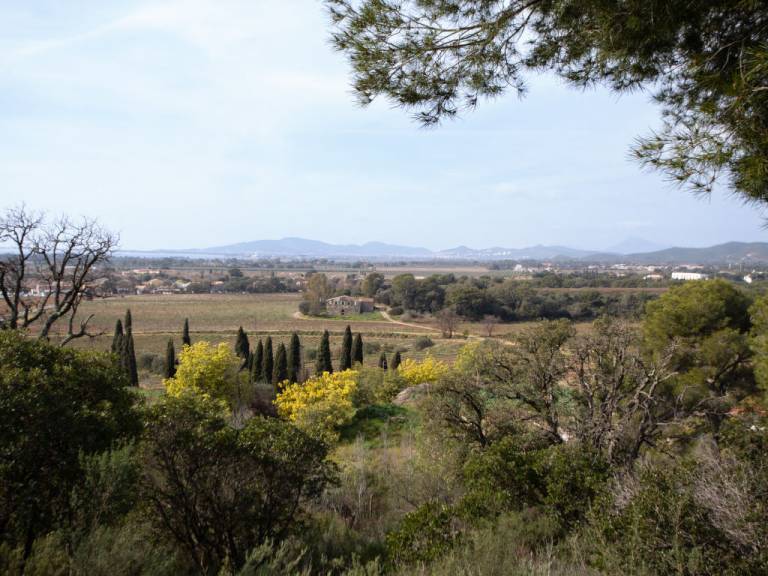 foto12