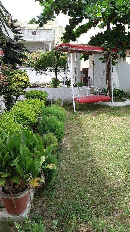 foto8