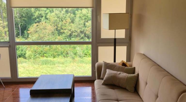 Apartment with patio, yard & private pool | Pets are welcome — photo 2