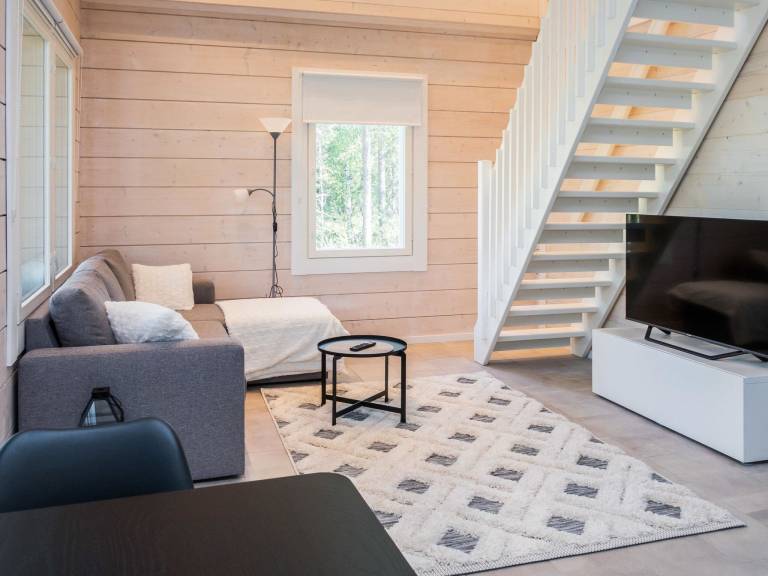 Vacation home with sauna — photo 3