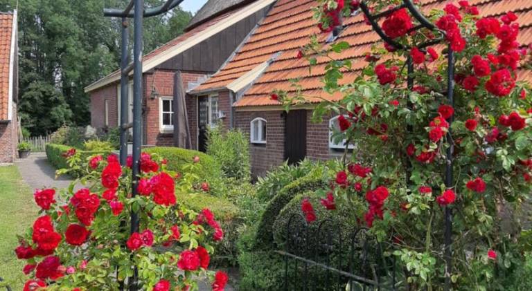 65 m&sup2; Ferienwohnung