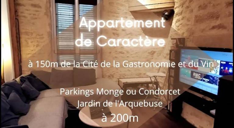 Lovely apartment | Pets allowed in Chenove