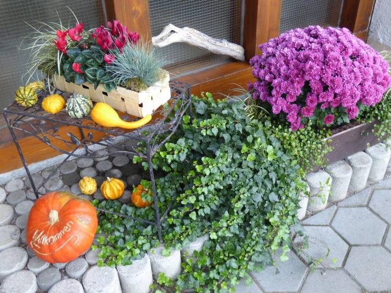 foto20