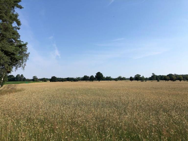 foto14