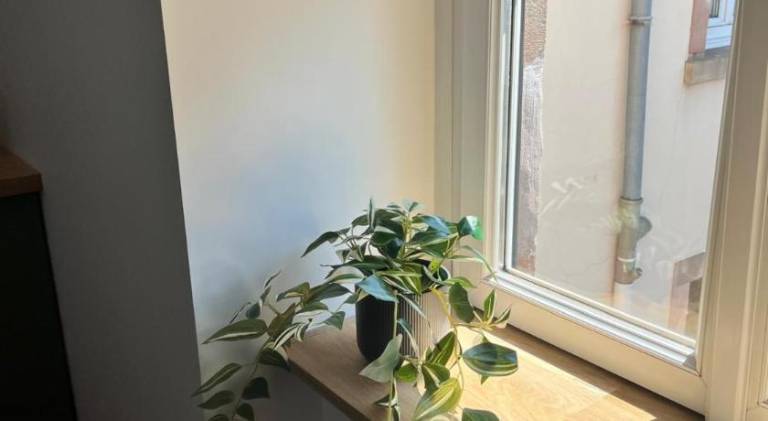 foto21