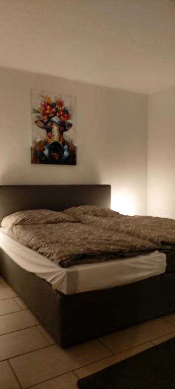 foto6